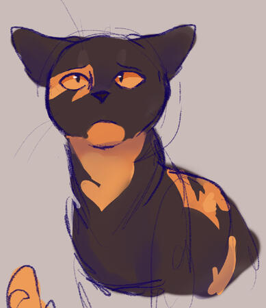 Beetleshine - @TWartz